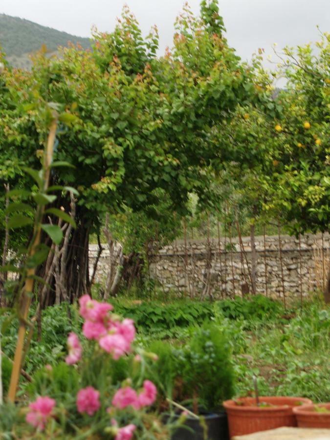 דירות צ'פרו La Casa Di Nonna מראה חיצוני תמונה
