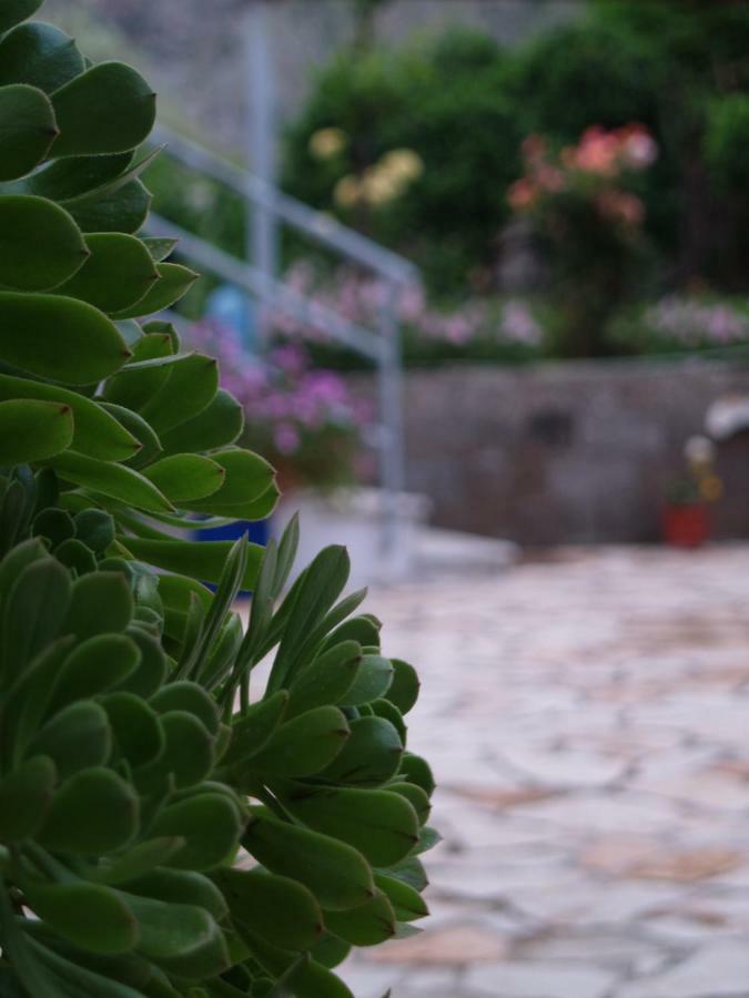 דירות צ'פרו La Casa Di Nonna מראה חיצוני תמונה